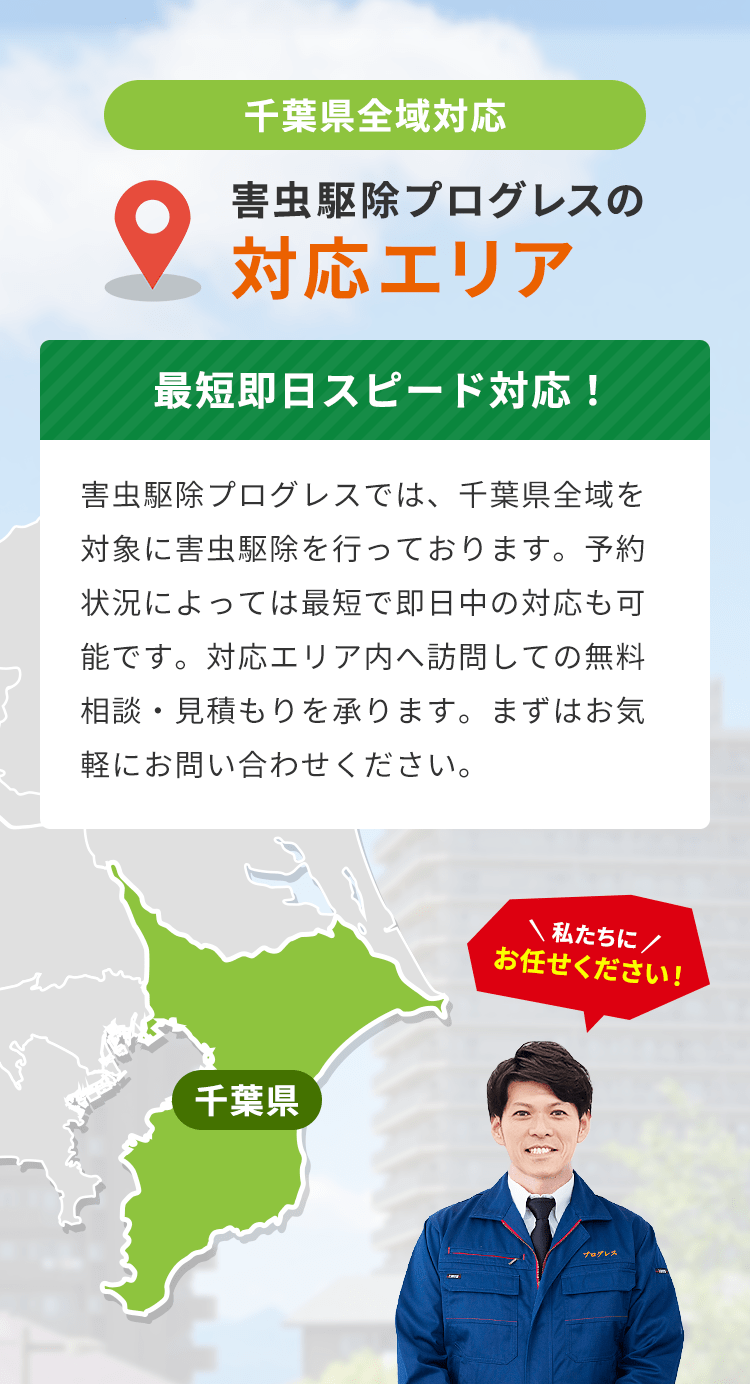 千葉県全域対応 害虫駆除プログレスの対応エリア