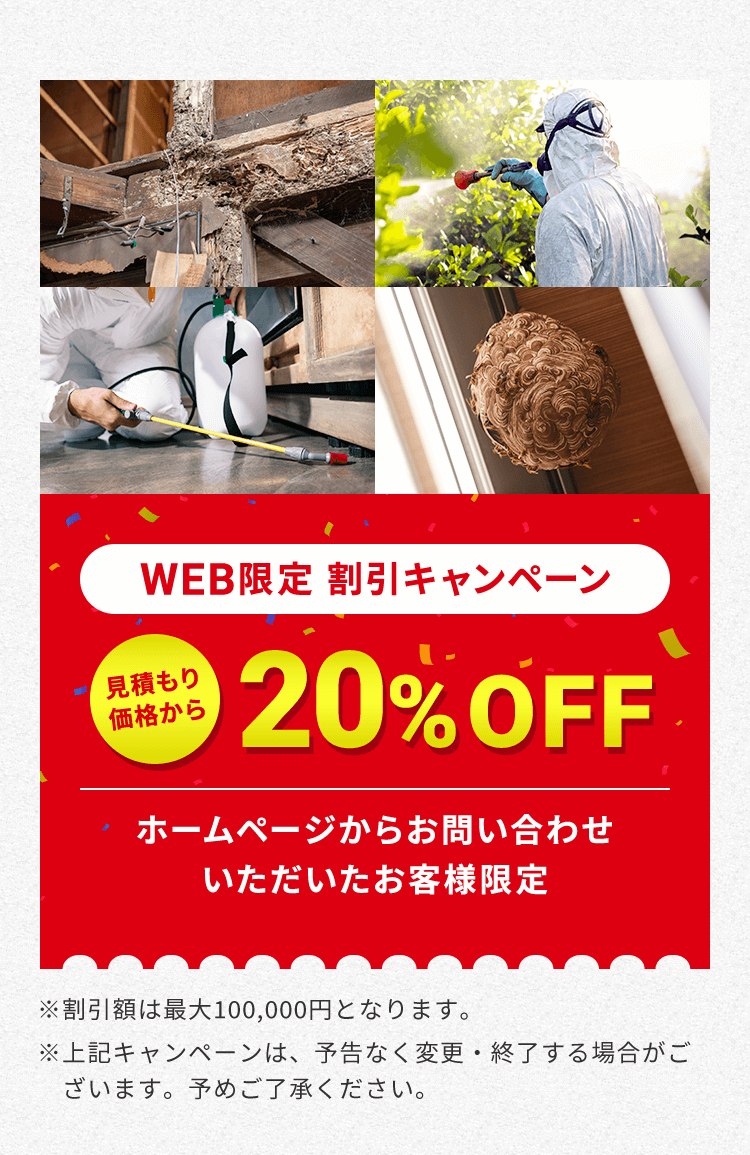 【ホームページからお問い合わせいただいたお客様限定】見積もり価格から20%OFFキャンペーン実施中